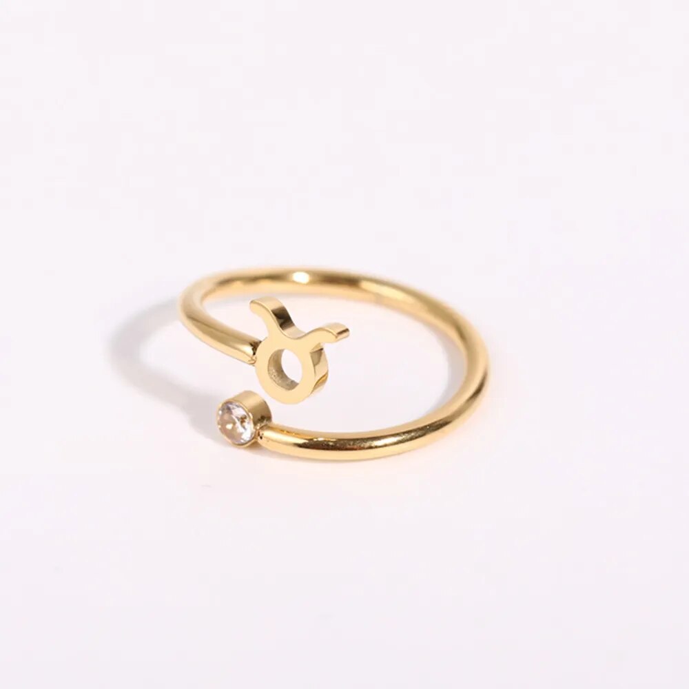 Zodiac Coiled Ring (Bundle)