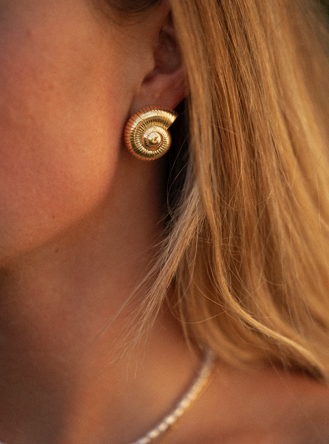 Chunky Shell Earrings (Bundle)