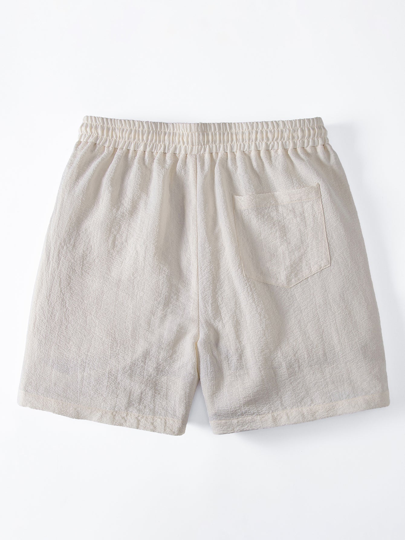 Regular Fit Palm Tree Print Cotton T-Shirt & Palm Tree Patch Seersucker 6" Shorts