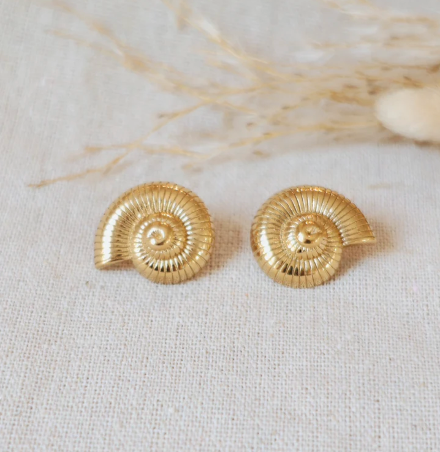 Chunky Shell Earrings (Bundle)