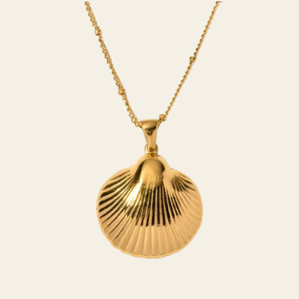 Beach Seashell Necklace (Bundle)